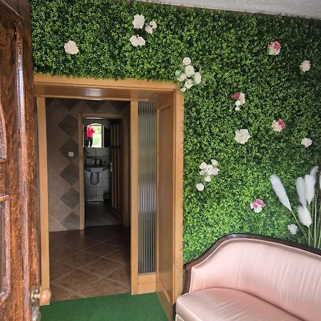 Bylew Zacisze Licheń