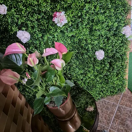 Bylew Zacisze Villa Licheń