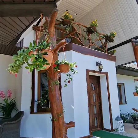 Villa Bylew Zacisze Lichen Stary