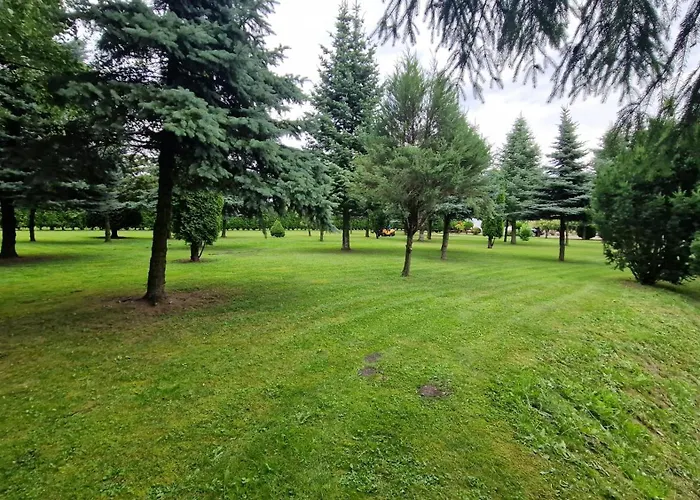 Bylew Zacisze * Licheń