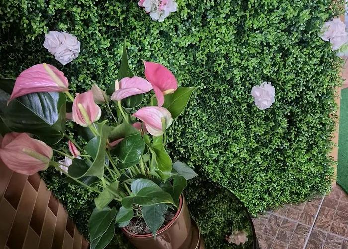 Bylew Zacisze Villa Licheń